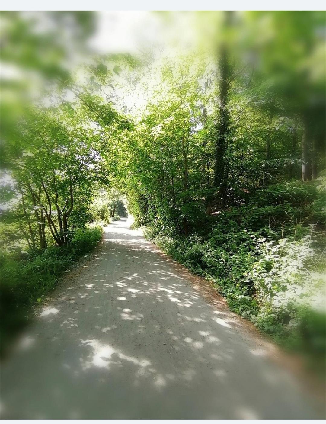 Am Wasser Wassersleben * Harrislee